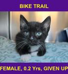 BIKE TRAIL